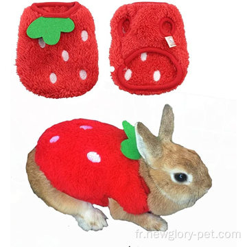 Costume de compagnie vêtements de lapin mignons